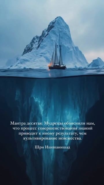 Цитаты