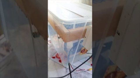 Инкубатор своими руками