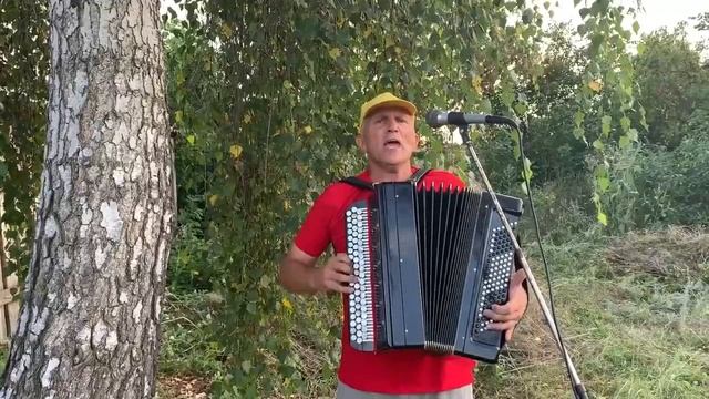 Калина и береза