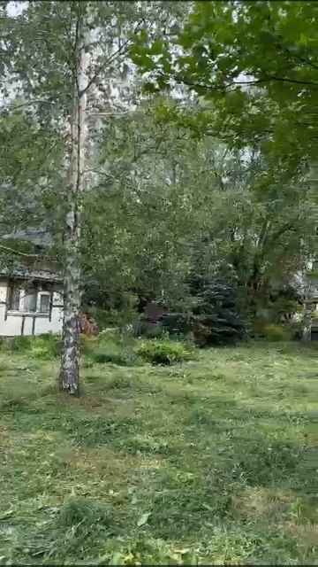 VID-20240615-WA0080