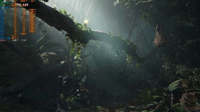 Gtx 1080ti r5 7500f   Shadow of the Tomb Raider