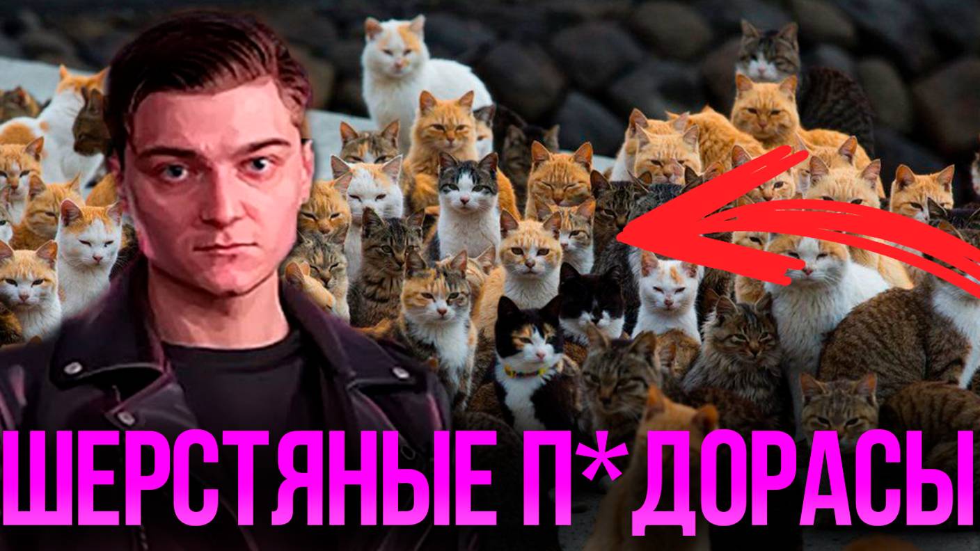 Корбен Даллас не любит котов