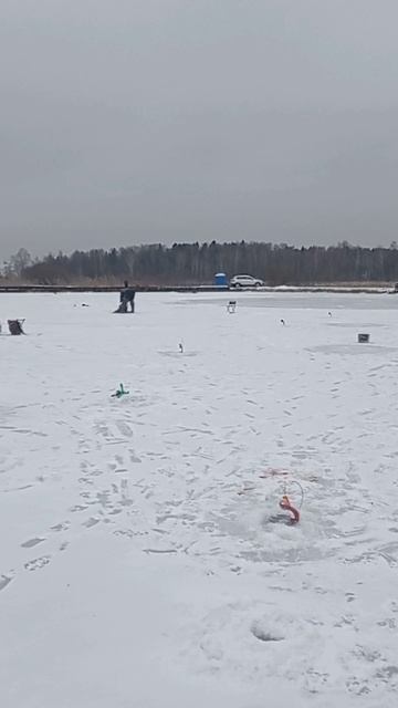 Рыбалка в Рыбном