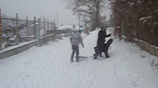 Обучаем Реша. 1 год Роман-Кош Бельбеку Стронг Нат. Сын Балаклавы и Танго. 2006г. Севастополь