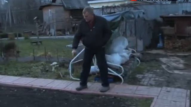 В Чеховском районе объявился загадочный зверь
