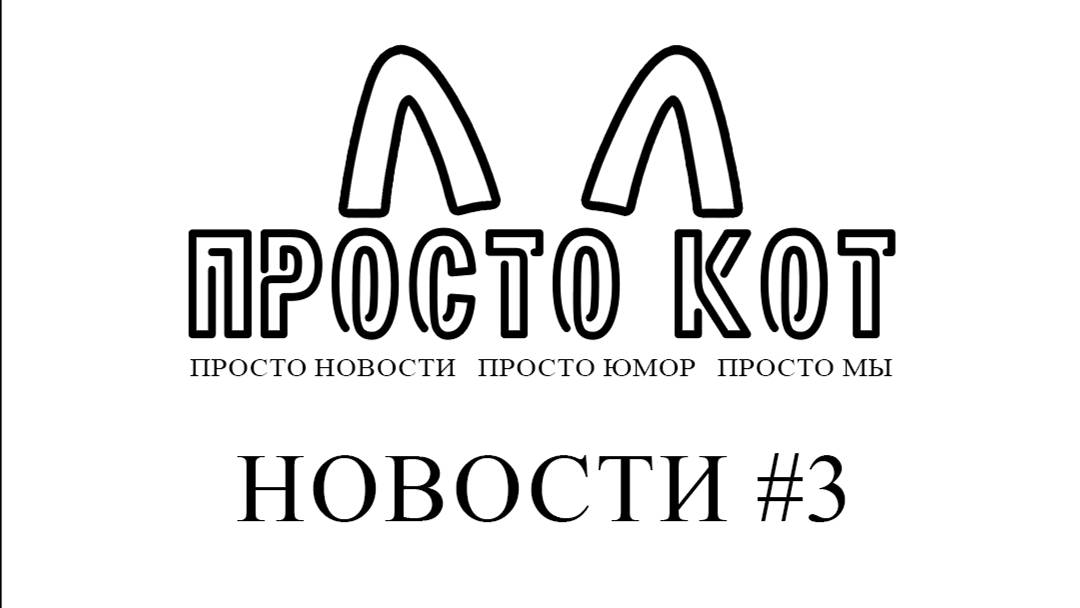 ПРОСТО КОТ ▷ НОВОСТИ №3