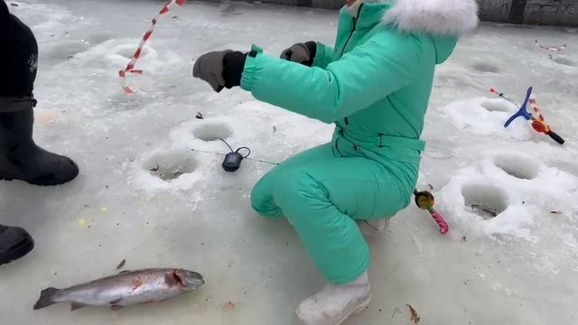 25.01.25 г. РК Волна