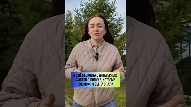 VID_20250125_124743_724