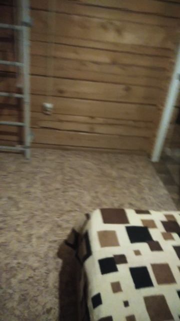 VID_20250125_183026.mp4
