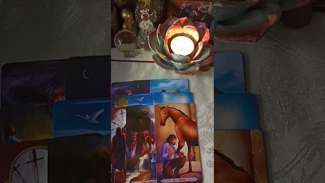 Он Хочет Тебе Передать‼️#rutud #taro #tarot #taroonlan