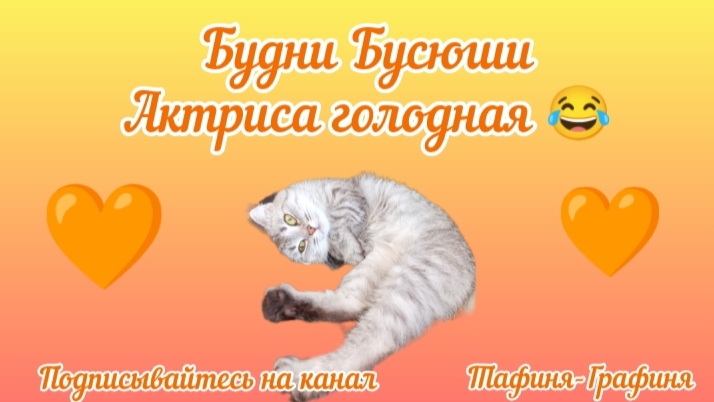 😻Голодная актриса😻😂