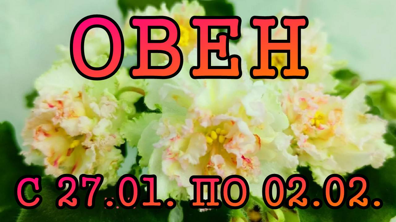 ОВЕН таро прогноз на неделю с 27 ЯНВАРЯ по 2 ФЕВРАЛЯ 2025 года.