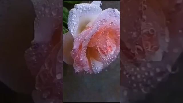 Татьянин день (моё личное стихотворение)