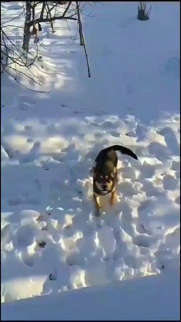 Доброе субботнее утро! 😄🥰