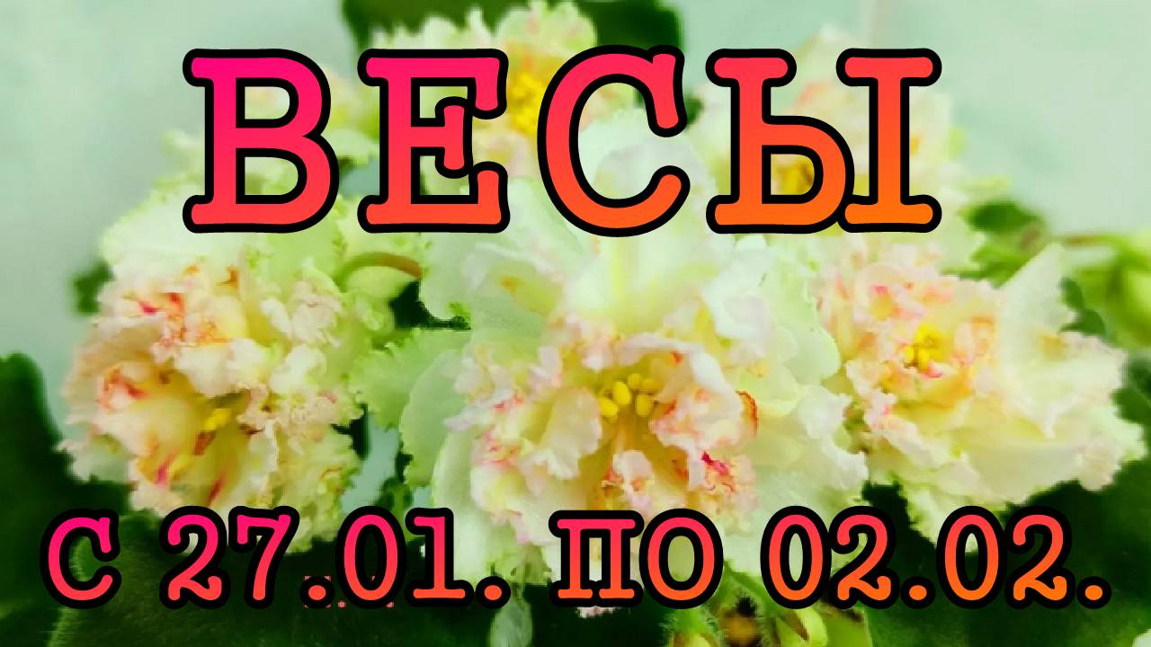 ВЕСЫ таро прогноз на неделю с 27 ЯНВАРЯ по 2 ФЕВРАЛЯ 2025 года.