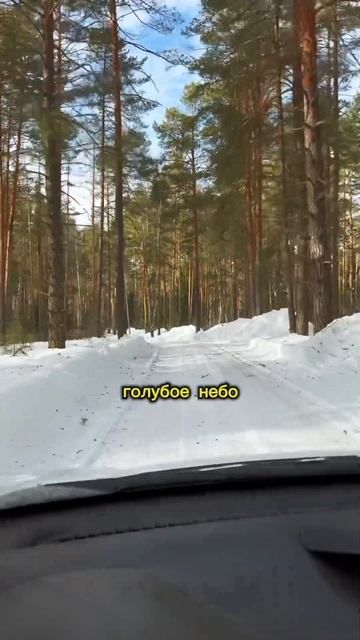 РУССКИЙ ЛЕС