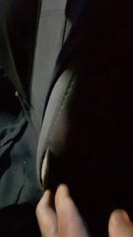 разошлась обшивка сидения-focus 3