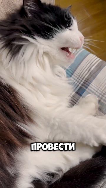 На что мы тратим 25 лет своей жизни?!