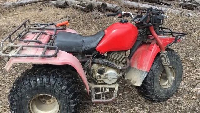 My New 1985 Honda Big Red 250es