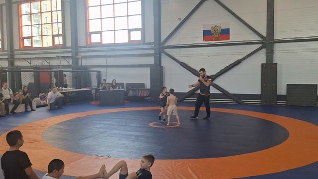 Борьба по правилам сумо (семилетки)