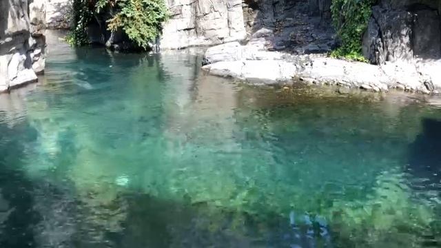 Зоопарк NYC в Central Park