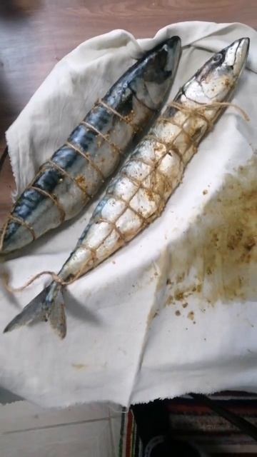 Капчения скумбрия самостоятельно