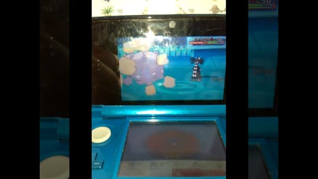 Pokemon omega online #4 fragen Muffin Bubi