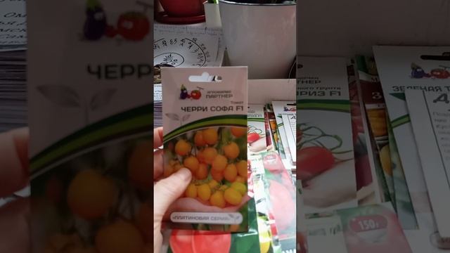 Выбираем Черри, черри Софа и Вера обязательно помню, а Чио Чио Сан под вопросом)))
