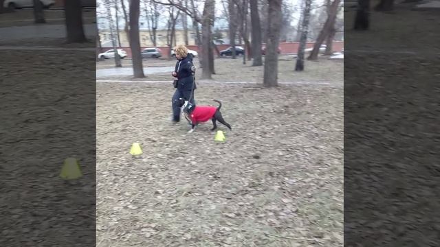 Трен7 25.01.2025