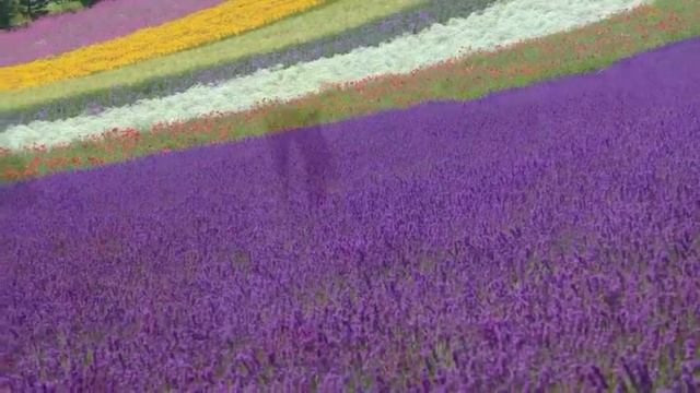 Поклоняюсь