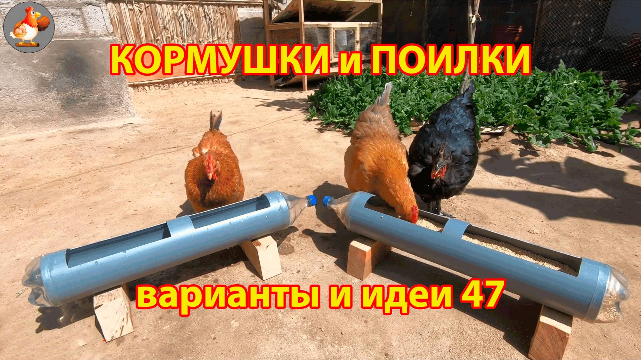 Кормушки и поилки для кур своими руками 47 🪚✂️ Пошаговая инструкция как сделать 🐔 🐓❣️