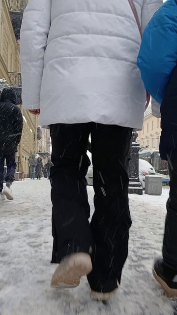 снег и метель.гуляем.Питер