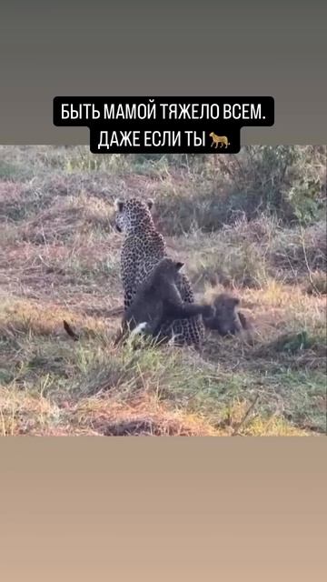 🗿Быть мамой непросто...