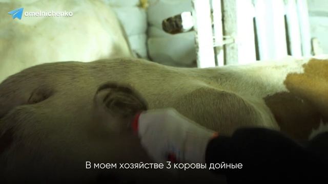 Студенты — надежда Пензенской области