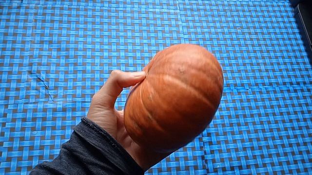 VID_20221112_113637