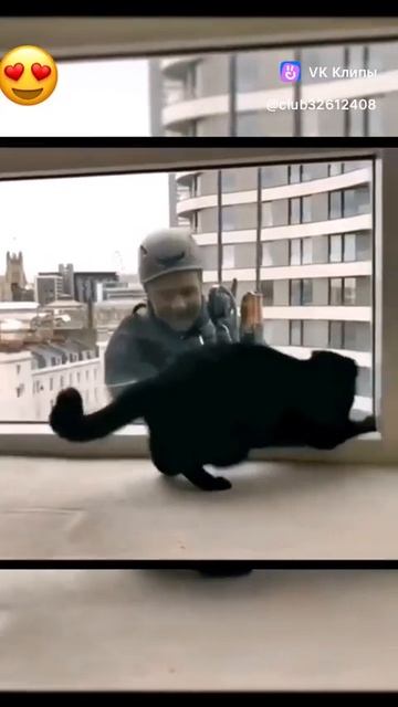 clip-32612408_456239488