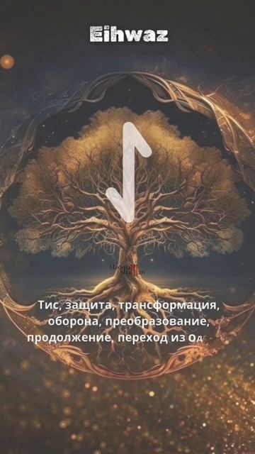 Эйваз/@Eihwaz