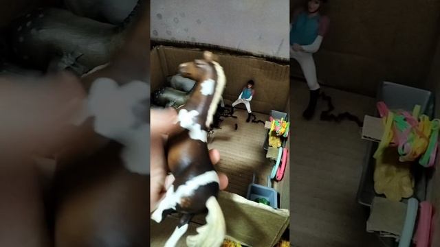 обзор на кск шляйх.
