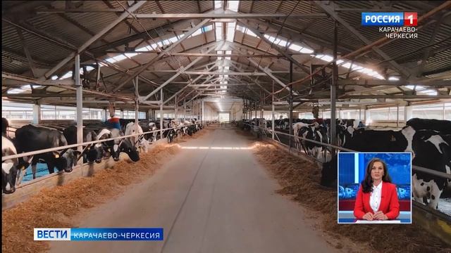 Рашид Темрезов рассказал о примере импортозамещения в агропромышленном комплексе Карачаево-Черкесии