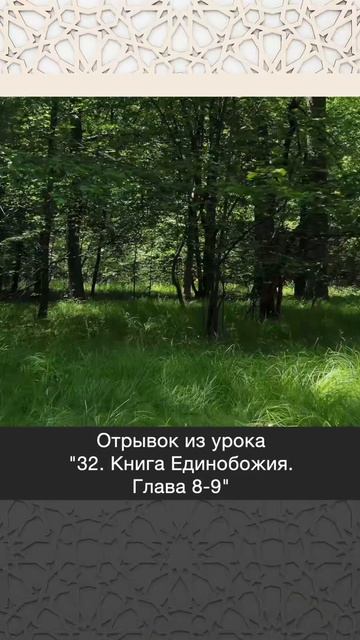 Табаррук содержит в себе две вещи. Первая | Ринат абу Ибрахим #ислам #коран #вера #бог #намаз #сунна