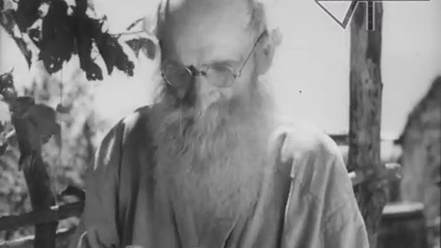 Долголетие