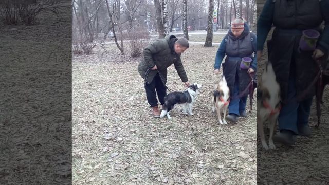 Трен6 25.01.2025