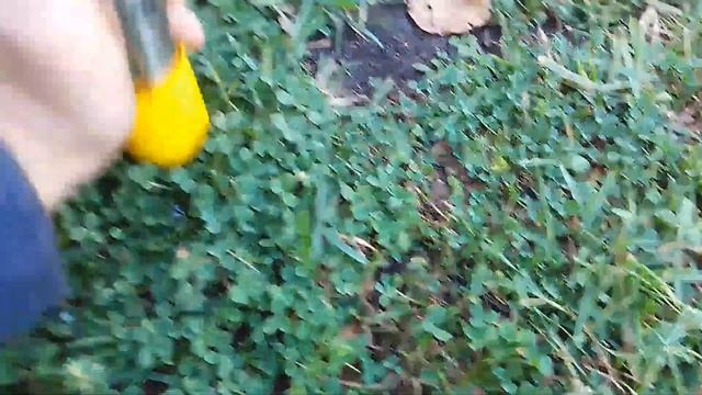 Как заправить дизель