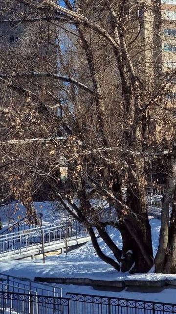 Утро Алматы. 25.01.2025.