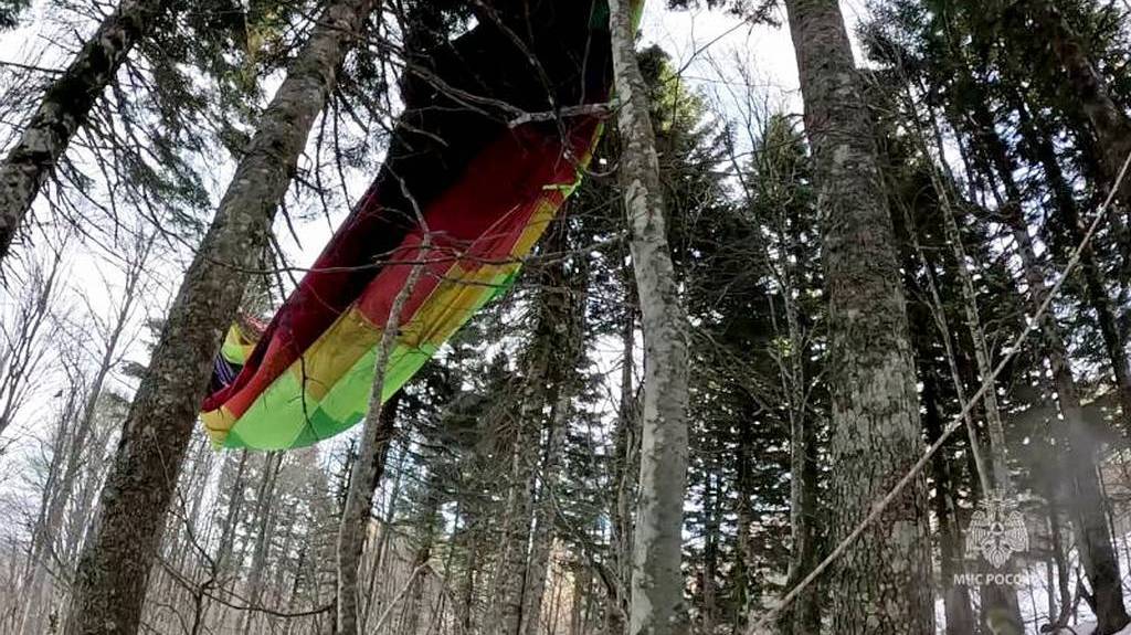 В Сочи вынесли приговор организаторам полета упавшего на деревья воздушного шара