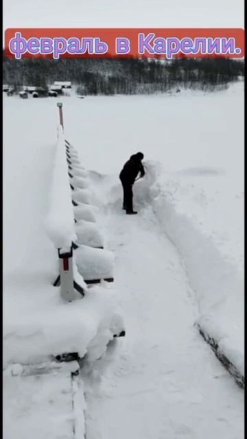 картошка в феврале.