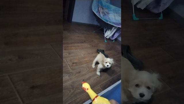 Музыкальный Марсель!