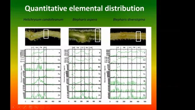 MARRYING BIOLOGY, ION BEAM TECHNOLOGIES, AND NANOTECHNOLOGY: Journey Into a Multidisciplinary Tango