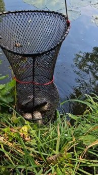 Снасть мимо которой ни одна рыба не проплывёт. Предназначена для ловли на плавающие приманки.