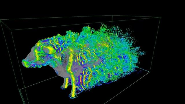 Aerodynamics of a cow